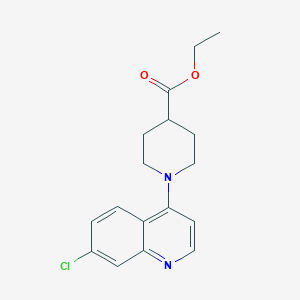 molecular formula C17H19ClN2O2 B495239 Ethyl 1-(7-chloro-4-quinolinyl)-4-piperidinecarboxylate 