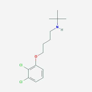 molecular formula C14H21Cl2NO B4952971 N-(tert-butyl)-4-(2,3-dichlorophenoxy)-1-butanamine 