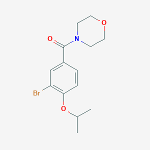 2-Bromo-4-(4-morpholinylcarbonyl)phenyl isopropyl ether