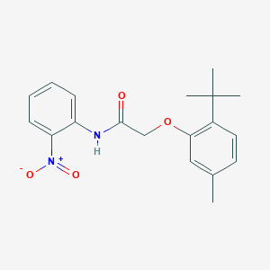 molecular formula C19H22N2O4 B4955403 2-(2-tert-butyl-5-methylphenoxy)-N-(2-nitrophenyl)acetamide 