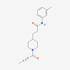 molecular formula C19H24N2O2 B4956591 3-[1-(2-butynoyl)-4-piperidinyl]-N-(3-methylphenyl)propanamide 