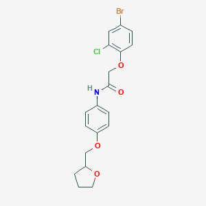molecular formula C19H19BrClNO4 B495737 2-(4-bromo-2-chlorophenoxy)-N-[4-(tetrahydro-2-furanylmethoxy)phenyl]acetamide 