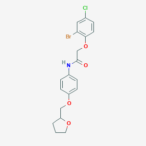 molecular formula C19H19BrClNO4 B495749 2-(2-bromo-4-chlorophenoxy)-N-[4-(tetrahydro-2-furanylmethoxy)phenyl]acetamide 