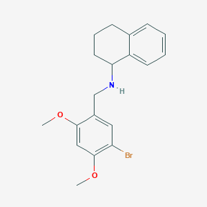 molecular formula C19H22BrNO2 B4958850 (5-bromo-2,4-dimethoxybenzyl)1,2,3,4-tetrahydro-1-naphthalenylamine 