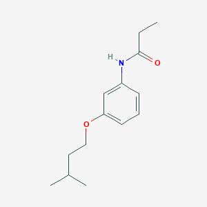 molecular formula C14H21NO2 B495967 N-[3-(3-methylbutoxy)phenyl]propanamide 