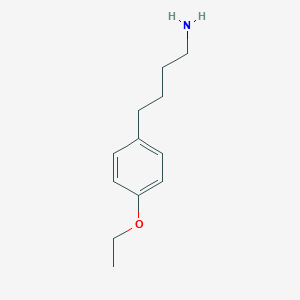 molecular formula C12H19NO B496164 4-(4-Ethoxyphenyl)butan-1-amine CAS No. 869942-62-1