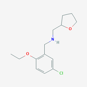 molecular formula C14H20ClNO2 B496209 N-(5-chloro-2-ethoxybenzyl)-N-(tetrahydro-2-furanylmethyl)amine 