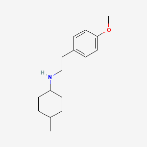 molecular formula C16H25NO B4963658 N-[2-(4-methoxyphenyl)ethyl]-4-methylcyclohexanamine 