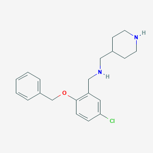 molecular formula C20H25ClN2O B496537 N-[2-(benzyloxy)-5-chlorobenzyl]-N-(4-piperidinylmethyl)amine 