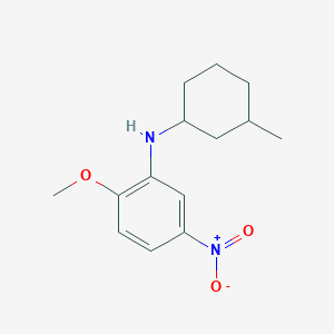 molecular formula C14H20N2O3 B4969568 (2-methoxy-5-nitrophenyl)(3-methylcyclohexyl)amine 