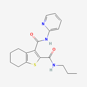 molecular formula C18H21N3O2S B4969936 N~2~-propyl-N~3~-2-pyridinyl-4,5,6,7-tetrahydro-1-benzothiophene-2,3-dicarboxamide 