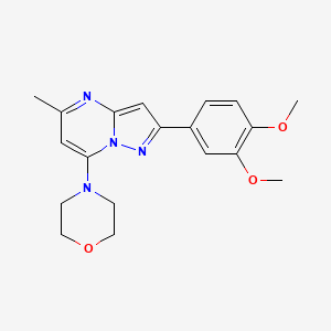 molecular formula C19H22N4O3 B4971357 2-(3,4-dimethoxyphenyl)-5-methyl-7-(4-morpholinyl)pyrazolo[1,5-a]pyrimidine 
