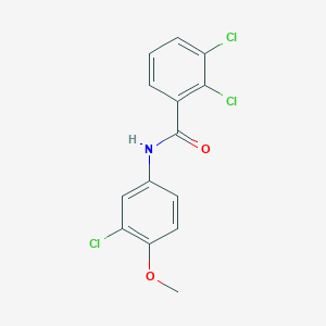 2,3-dichloro-N-(3-chloro-4-methoxyphenyl)benzamide