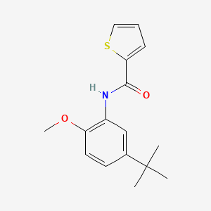 molecular formula C16H19NO2S B4973621 N-(5-tert-butyl-2-methoxyphenyl)-2-thiophenecarboxamide 