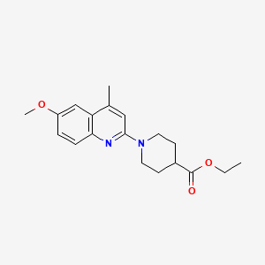 molecular formula C19H24N2O3 B4973956 ethyl 1-(6-methoxy-4-methyl-2-quinolinyl)-4-piperidinecarboxylate 