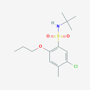 molecular formula C14H22ClNO3S B497731 N-(tert-butyl)-5-chloro-4-methyl-2-propoxybenzenesulfonamide CAS No. 913241-63-1