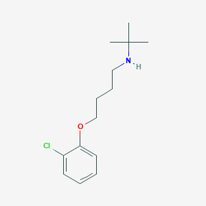 molecular formula C14H22ClNO B4978251 N-(tert-butyl)-4-(2-chlorophenoxy)-1-butanamine 