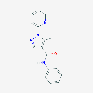 molecular formula C16H14N4O B498091 5-methyl-N-phenyl-1-(2-pyridinyl)-1H-pyrazole-4-carboxamide 