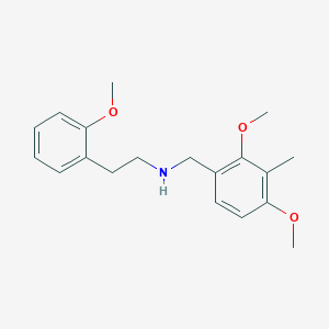 molecular formula C19H25NO3 B4985246 (2,4-dimethoxy-3-methylbenzyl)[2-(2-methoxyphenyl)ethyl]amine 