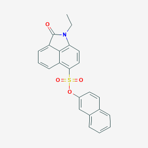 molecular formula C23H17NO4S B498650 2-Naphthyl 1-ethyl-2-oxo-1,2-dihydrobenzo[cd]indole-6-sulfonate 