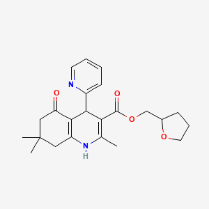 molecular formula C23H28N2O4 B4987488 tetrahydro-2-furanylmethyl 2,7,7-trimethyl-5-oxo-4-(2-pyridinyl)-1,4,5,6,7,8-hexahydro-3-quinolinecarboxylate 