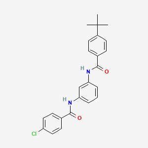 molecular formula C24H23ClN2O2 B4987510 4-tert-butyl-N-{3-[(4-chlorobenzoyl)amino]phenyl}benzamide 