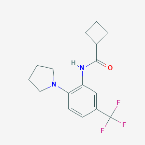 molecular formula C16H19F3N2O B499061 N-[2-(1-pyrrolidinyl)-5-(trifluoromethyl)phenyl]cyclobutanecarboxamide 