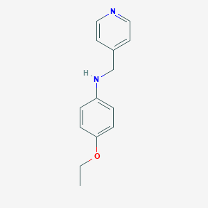 molecular formula C14H16N2O B499104 4-ethoxy-N-(pyridin-4-ylmethyl)aniline CAS No. 16552-50-4