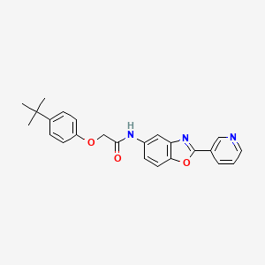 molecular formula C24H23N3O3 B4991206 2-(4-tert-butylphenoxy)-N-[2-(3-pyridinyl)-1,3-benzoxazol-5-yl]acetamide 