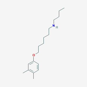 N-butyl-6-(3,4-dimethylphenoxy)hexan-1-amine