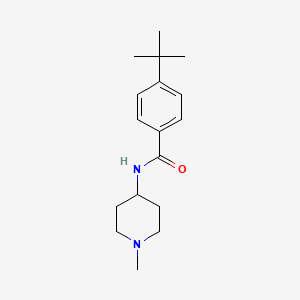 4-tert-butyl-N-(1-methylpiperidin-4-yl)benzamide