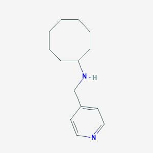 molecular formula C14H22N2 B499380 N-(pyridin-4-ylmethyl)cyclooctanamine 