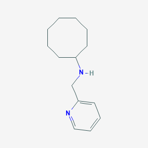 N-(pyridin-2-ylmethyl)cyclooctanamine