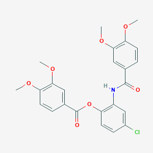 molecular formula C24H22ClNO7 B499890 4-Chloro-2-[(3,4-dimethoxybenzoyl)amino]phenyl 3,4-dimethoxybenzoate 