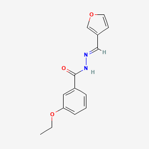 molecular formula C14H14N2O3 B5003190 3-ethoxy-N'-(3-furylmethylene)benzohydrazide 