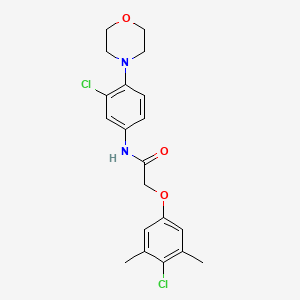 2-(4-chloro-3,5-dimethylphenoxy)-N-[3-chloro-4-(morpholin-4-yl)phenyl]acetamide