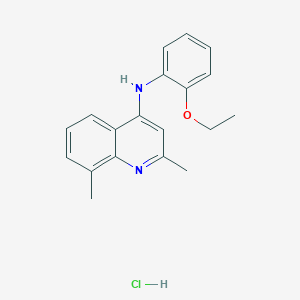 N-(2-ethoxyphenyl)-2,8-dimethylquinolin-4-amine;hydrochloride