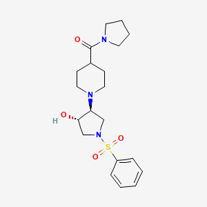 molecular formula C20H29N3O4S B5006957 (3S*,4S*)-1-(phenylsulfonyl)-4-[4-(1-pyrrolidinylcarbonyl)-1-piperidinyl]-3-pyrrolidinol 