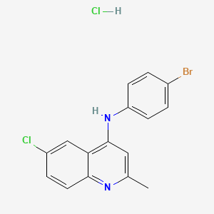 molecular formula C16H13BrCl2N2 B5014311 N-(4-bromophenyl)-6-chloro-2-methyl-4-quinolinamine hydrochloride 