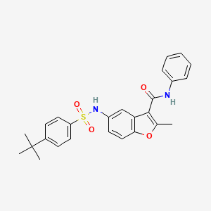 molecular formula C26H26N2O4S B5015042 5-{[(4-tert-butylphenyl)sulfonyl]amino}-2-methyl-N-phenyl-1-benzofuran-3-carboxamide 