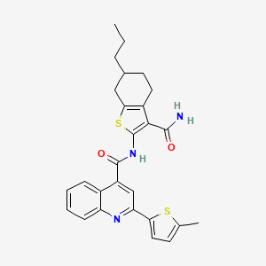 molecular formula C27H27N3O2S2 B5017267 N-[3-(aminocarbonyl)-6-propyl-4,5,6,7-tetrahydro-1-benzothien-2-yl]-2-(5-methyl-2-thienyl)-4-quinolinecarboxamide 