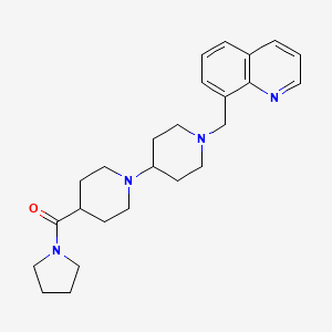 molecular formula C25H34N4O B5018806 4-(1-pyrrolidinylcarbonyl)-1'-(8-quinolinylmethyl)-1,4'-bipiperidine 