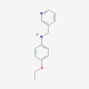 molecular formula C14H16N2O B502068 N-(4-ethoxyphenyl)-N-(3-pyridinylmethyl)amine 