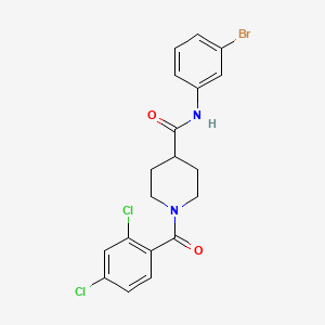 molecular formula C19H17BrCl2N2O2 B5025701 N-(3-bromophenyl)-1-(2,4-dichlorobenzoyl)-4-piperidinecarboxamide 