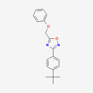 molecular formula C19H20N2O2 B5031562 3-(4-tert-butylphenyl)-5-(phenoxymethyl)-1,2,4-oxadiazole 