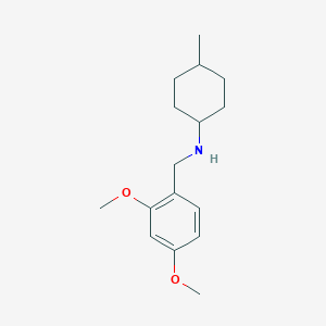 molecular formula C16H25NO2 B5032310 (2,4-dimethoxybenzyl)(4-methylcyclohexyl)amine 