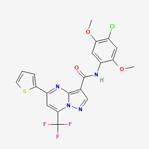 molecular formula C20H14ClF3N4O3S B5032726 N-(4-chloro-2,5-dimethoxyphenyl)-5-(2-thienyl)-7-(trifluoromethyl)pyrazolo[1,5-a]pyrimidine-3-carboxamide 