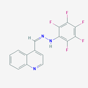 molecular formula C16H8F5N3 B503438 4-Quinolinecarbaldehyde (2,3,4,5,6-pentafluorophenyl)hydrazone 