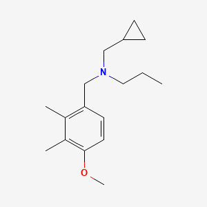 molecular formula C17H27NO B5035639 (cyclopropylmethyl)(4-methoxy-2,3-dimethylbenzyl)propylamine 