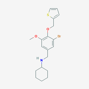 molecular formula C19H24BrNO2S B503584 N-[3-bromo-5-methoxy-4-(2-thienylmethoxy)benzyl]-N-cyclohexylamine 